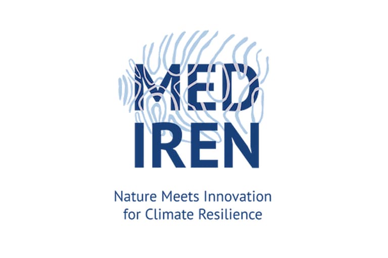 med-iren_content_image